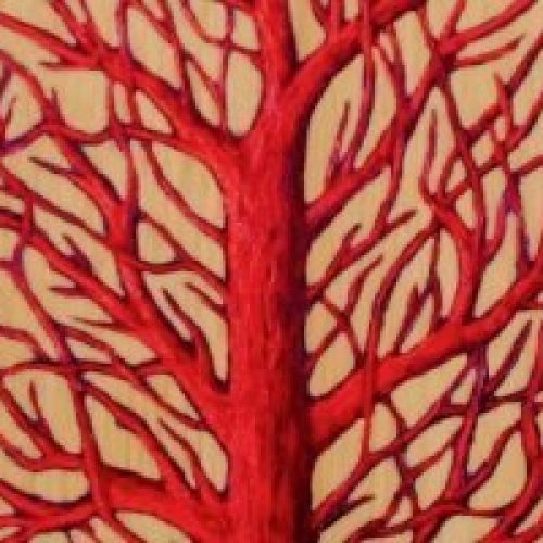 Mandy-Hunniford-The-Tree-of-Life-1280x1280-678x200