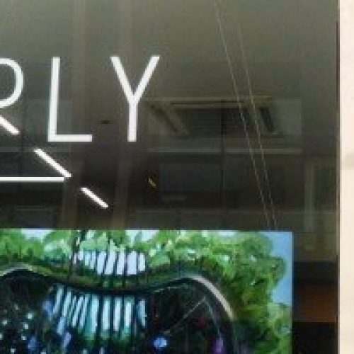 P1050835-1024x768-678x200